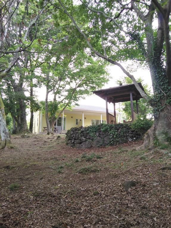 Hale Ilio Villa Ito  Exterior photo